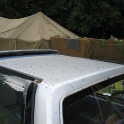 IMG 7303 - Scouts en Gidsen Zaventem 